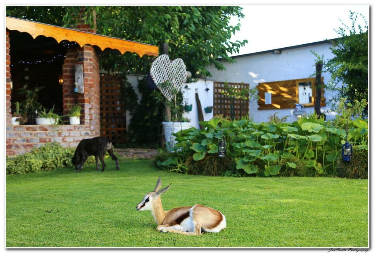 Tortelduif Cottage Offthegrid Middelburg  ภายนอก รูปภาพ